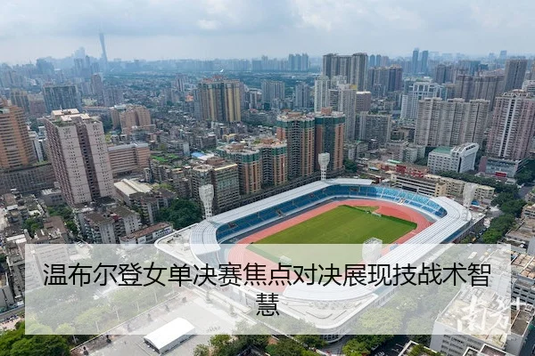温布尔登女单决赛焦点对决展现技战术智慧